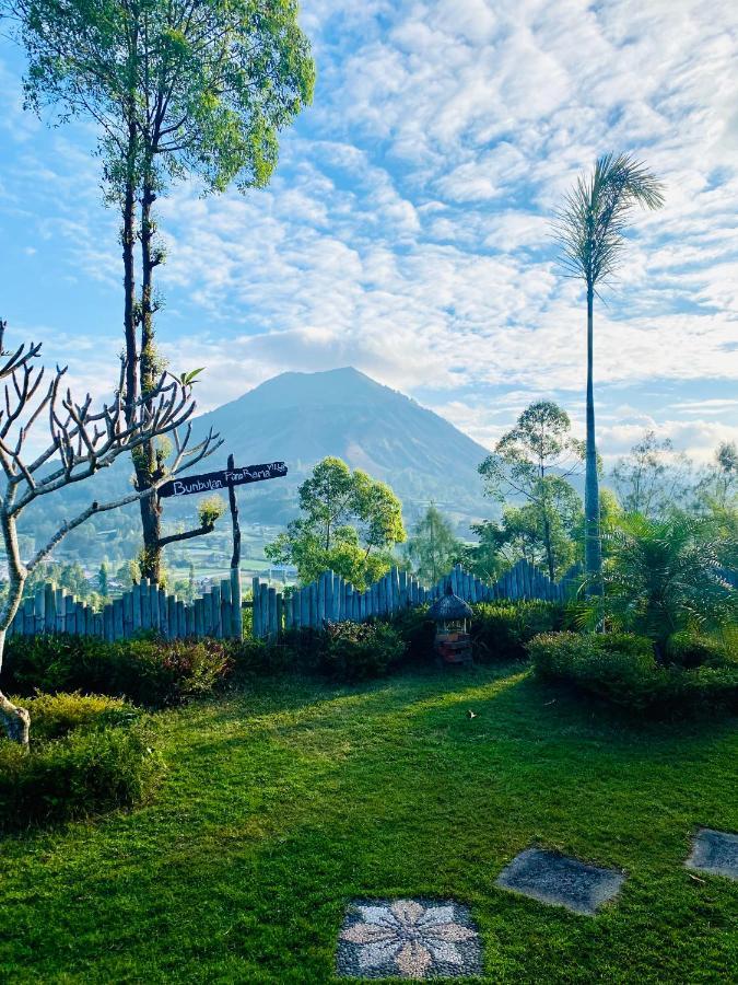 Bed and Breakfast Bunbulan Panorama Кинтамани Экстерьер фото