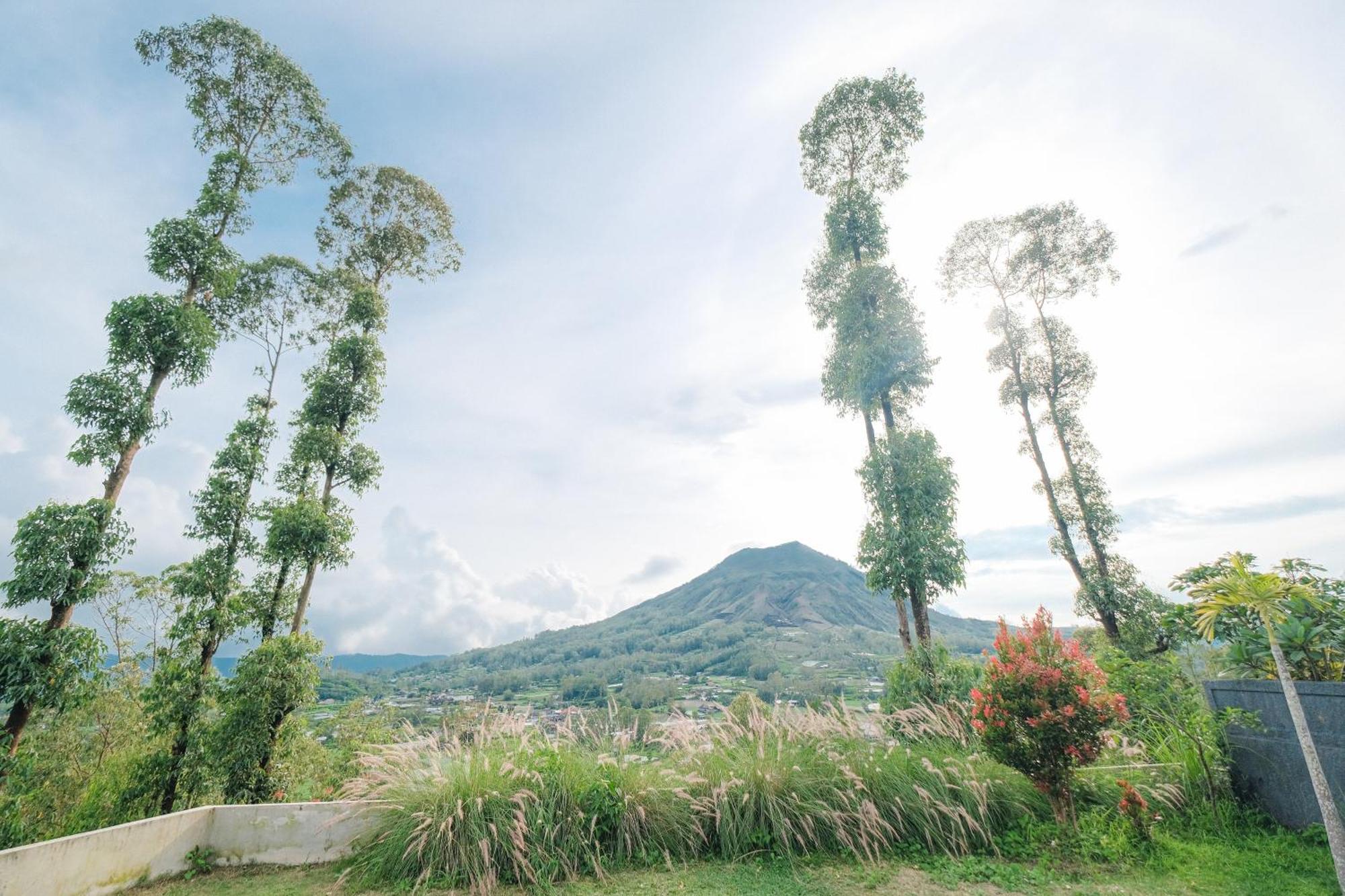 Bed and Breakfast Bunbulan Panorama Кинтамани Экстерьер фото